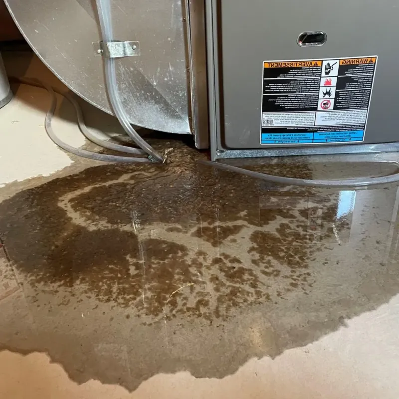 Pipe Burst and Leak Restoration in Hagaman, NY
